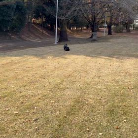 小熊じゃないよの画像