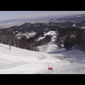 2月26日パラダイスの画像