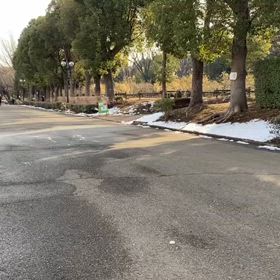 リレー選考会（女子）ゴール付近⑤の画像