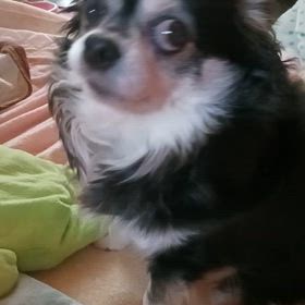 たまには…ね( *´艸｀)の画像