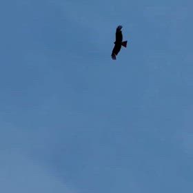 ゆっくりとゆったりとの画像