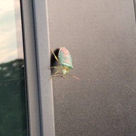 とても紳士的な、お偉いさんと打合せでした。の画像