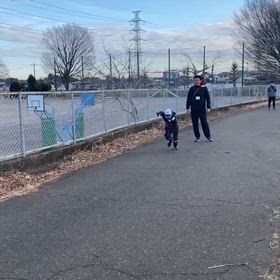 1/28短い坂ダッシュ（スタート地点）①の画像