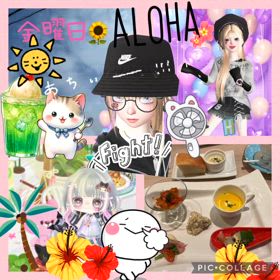 おはようございます♬.*ﾟ(*´︶`*)ﾉ´-の画像