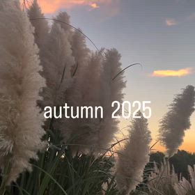 秋空とパンパスグラスの画像