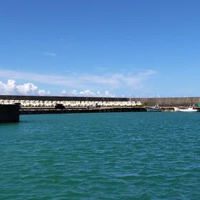 釣れると思って行ってるけどの画像