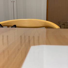 愛犬クーがの画像