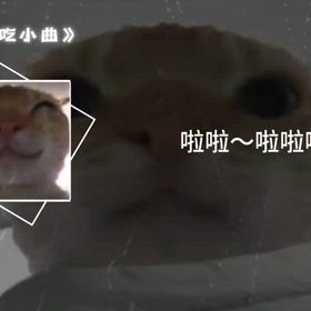 この歌はいいですか？の画像