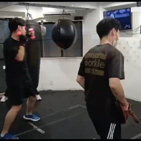 トレーニング動画♪の画像