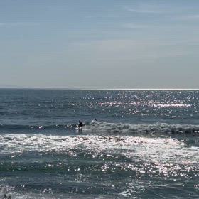 日本海　ビシャベツの画像