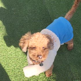 ボール遊びの画像