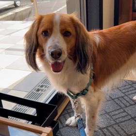 ボク病院大っ嫌いの画像