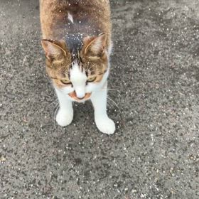日暮れの画像