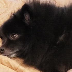 もう我慢できない､､､の画像