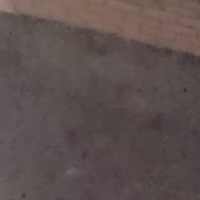 市川市も雪が舞うの画像