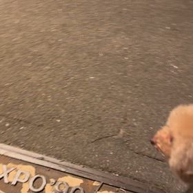 英訳23枚の画像