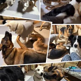 2026/01/8(木)   1ヶ月ぶりに白河にの画像