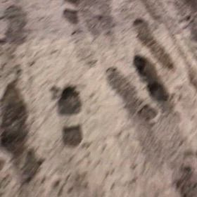 雪の日も歩きます❤️、あと今日のみことばの画像