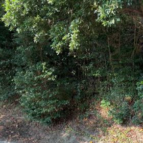 そろそろ秋⁇の画像