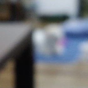 眠くて我慢出来ないの画像