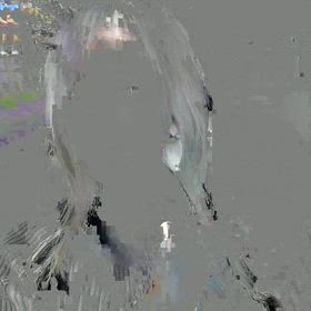 動画撮ってみた！の画像