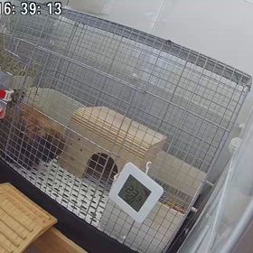 見守りカメラの画像