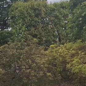 昇段試験の画像