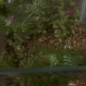 占いに感化されてみた〜パート2〜の画像