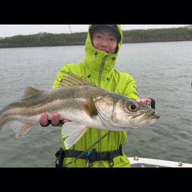 【ボートシーバス便】の画像