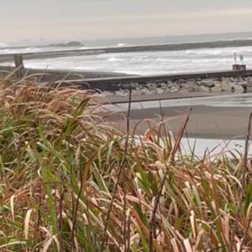 11月20日千葉北、東浪見の朝のなの画像