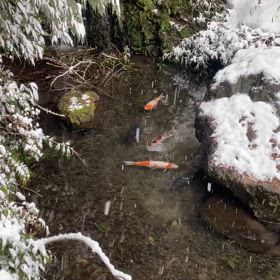 置き去りになってる小さいちっちゃんの画像