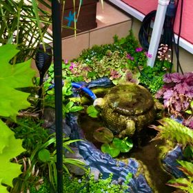 アヤノVS雑草の画像