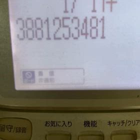 まただよ…の画像