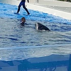 本当は獰猛な生き物。でも、愛で伝わるの。の画像