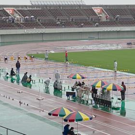 藤田さん決勝進出（女子80mハードル）の画像