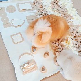誕生日のプレゼントの画像