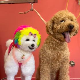 【げんくん♡まーちゃん♡】2026.3の画像