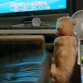 雨の日は。の画像