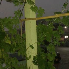 自然のクーラーの画像