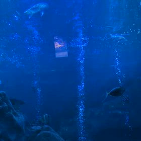 神さまは罰しないの画像