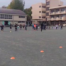 11/16 タオルトレーニング⑩の画像