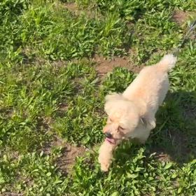 【事務職】新入社員紹介の画像