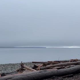 今日の海の画像