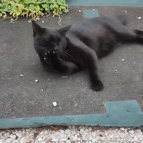 なるほど。。。の画像