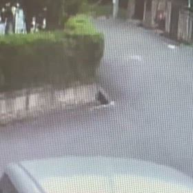 人が居ないか確認！Σ('◉⌓◉’)の画像