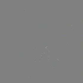 台北リバーサイドでのライブ映像の画像