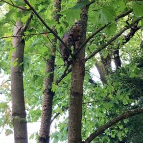 隣人の奥さんからメッセージの画像