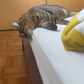 2024年9月1日(日)の画像