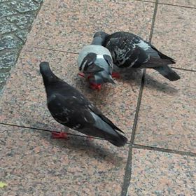 激しい愛の画像