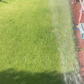朝の水遣りの画像